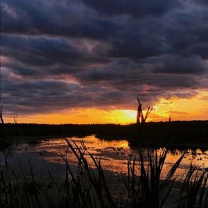 Meet your Posher, Logan